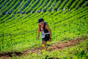 BIB: 2017
                            <button type="button" onclick="openModal(19161899)" class="btn btn-primary btn-sm float-right btn-popup" data-toggle="modal" data-target=".modal-high-quality">
                        <i class="fas fa-shopping-cart"></i> Add to Cart
                    </button>
                                            <button type="button" onclick="isThisMe(19161899, true)" class="btn btn-success btn-sm float-right btn-popup btn-isme hidden" data-toggle="tooltip" data-placement="bottom" title="นี่คือรูปของคุณใช่ไหม คลิกที่นี่เพื่อเอาเข้าอัลบั้ม">
                        <i class="fas fa-plus"></i> Add to album
                    </button>
                    <button type="button" onclick="isThisMe(19161899, false)" class="btn btn-warning btn-sm float-right btn-popup btn-isnotme hidden">
                        <i class="fas fa-ban"></i> Remove from album
                    </button>